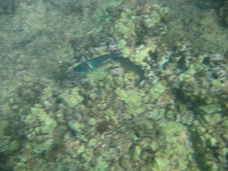 Picture 078